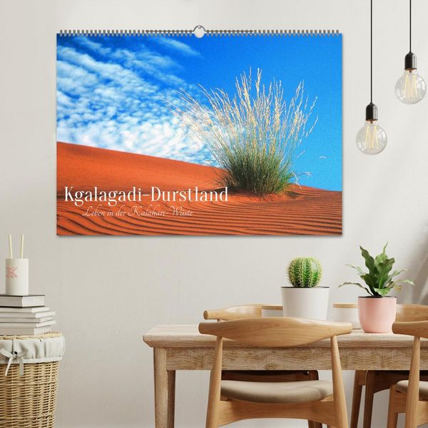 Produktbild: Kgalagadi-Durstland (Wandkalender 2026 DIN A2 quer), CALVENDO Monatskalender