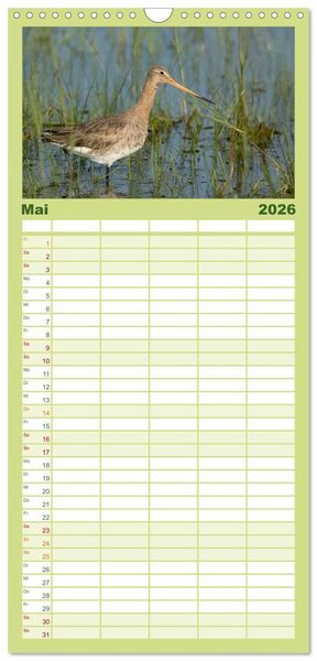 Produktbild: Familienplaner 2026 - Das faszinierende Reich der V&ouml;gel mit 5 Spalten (Wandkalender, 21 x 45 cm) CALVENDO