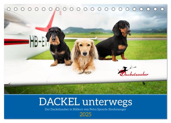 Dackel unterwegs (Tischkalender 2025 DIN A5 quer), CALVENDO Monatskalender