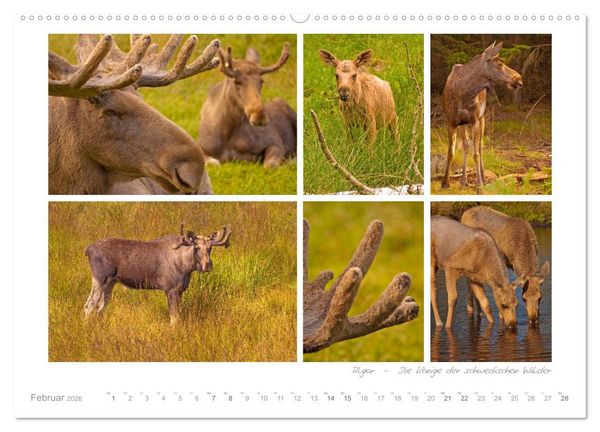 Produktbild: Sehnsucht Schweden - Sverige (hochwertiger Premium Wandkalender 2026 DIN A2 quer), Kunstdruck in Hochglanz