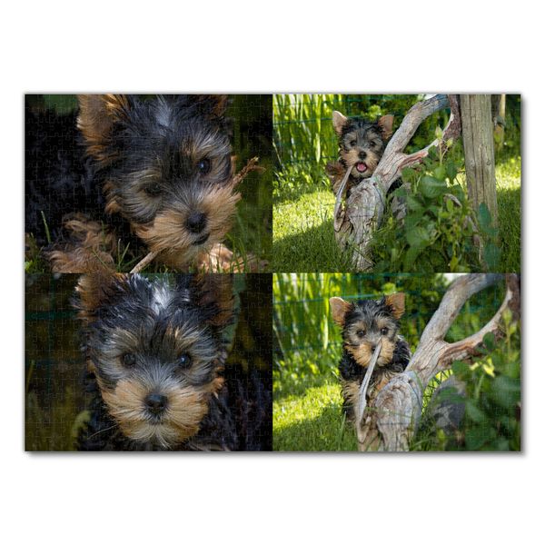 Produktbild: Lais Puzzle Collage Yorkshire Terrier 1000 Teile
