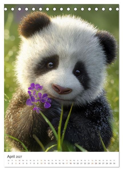 Produktbild: Panda Momente (Tischkalender 2027 DIN A5 hoch), CALVENDO Monatskalender