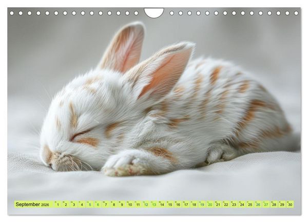 Produktbild: Kaninchen - Liebenswerte Fellb&auml;llchen (Wandkalender 2026 DIN A4 quer), CALVENDO Monatskalender