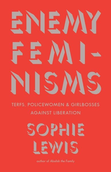 Produktbild: Enemy Feminisms