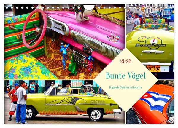 Bunte Vögel - Originelle Oldtimer in Havanna (Wandkalender 2026 DIN A4 quer), CALVENDO Monatskalender
