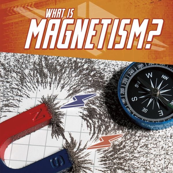 Produktbild: What Is Magnetism?