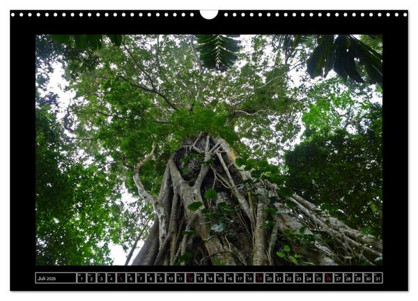 Produktbild: Venezuela & Caracas (Wandkalender 2026 DIN A3 quer), CALVENDO Monatskalender