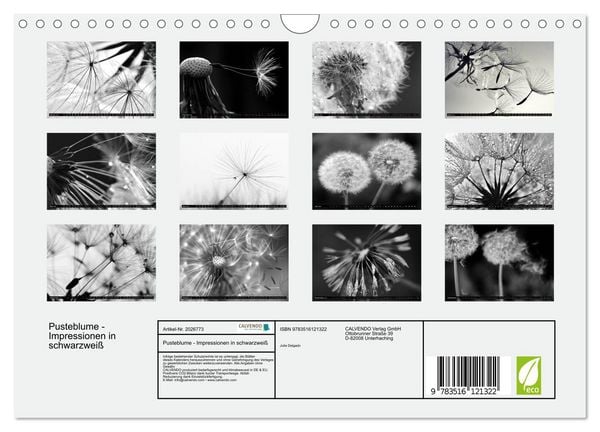 Produktbild: Pusteblume - Impressionen in schwarzwei&szlig; (Wandkalender 2026 DIN A4 quer), CALVENDO Monatskalender