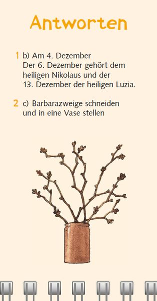 Produktbild: Br&auml;uche-Quiz
