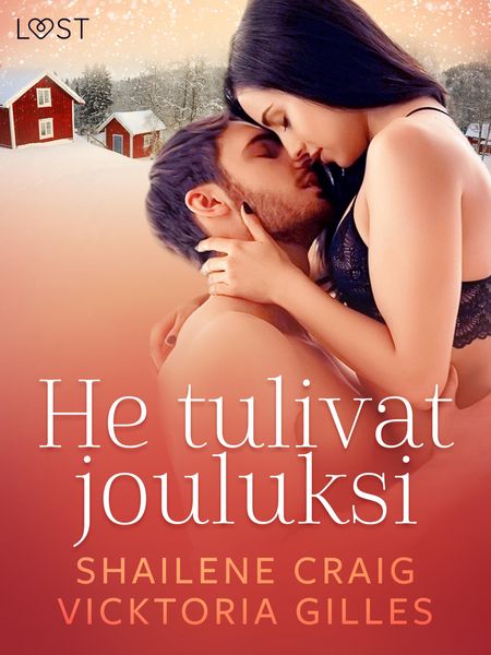Produktbild: He tulivat jouluksi - Eroottinen joulukertomus