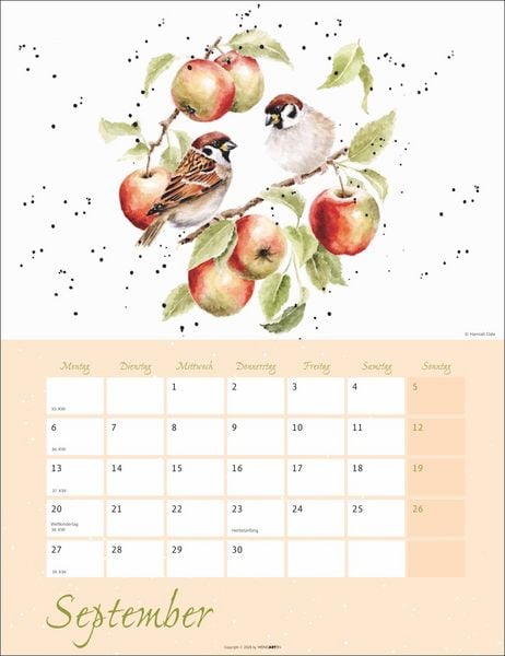 Produktbild: Country Life Kalender 2027