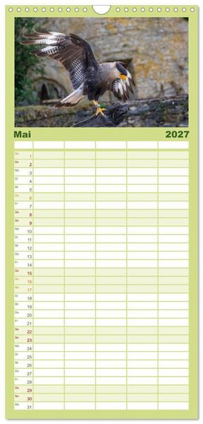 Produktbild: Familienplaner 2027 - Greifv&ouml;gel in Aktion - Dynamische Flugbilder und Portr&auml;ts mit 5 Spalten (Wandkalender, 21 x 45 cm) CALVENDO