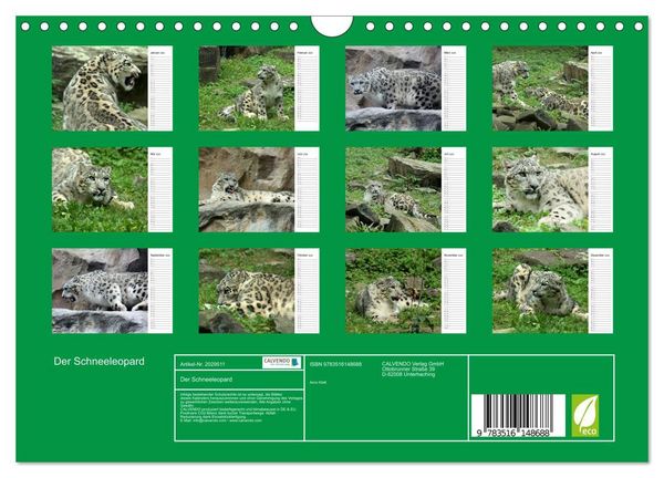 Produktbild: Der Schneeleopard (Wandkalender 2026 DIN A4 quer), CALVENDO Monatskalender