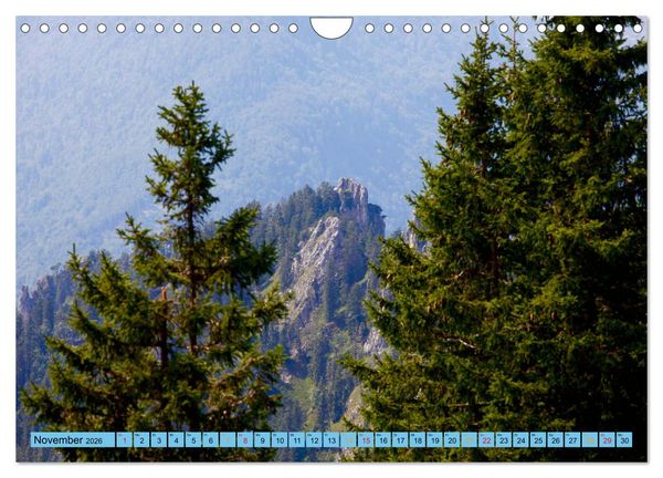 Produktbild: Sch&ouml;ner Forggensee (Wandkalender 2026 DIN A4 quer), CALVENDO Monatskalender