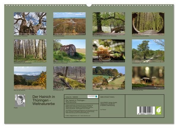 Produktbild: Der Hainich in Th&uuml;ringen - Weltnaturerbe (hochwertiger Premium Wandkalender 2026 DIN A2 quer), Kunstdruck in Hochglanz