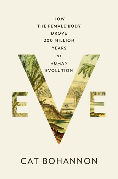 Produktbild: Eve