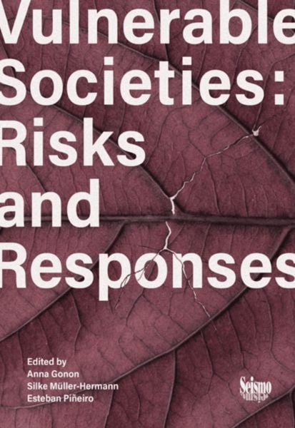 Produktbild: Vulnerable Societies: Risks and Responses