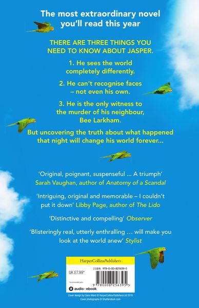 Produktbild: The Colour of Bee Larkham's Murder