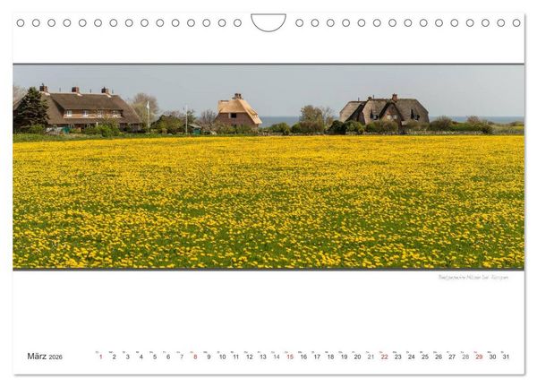 Produktbild: Emotionale Momente: Sylt de Luxe - die sch&ouml;nste deutsche Insel. (Wandkalender 2026 DIN A4 quer), CALVENDO Monatskalender