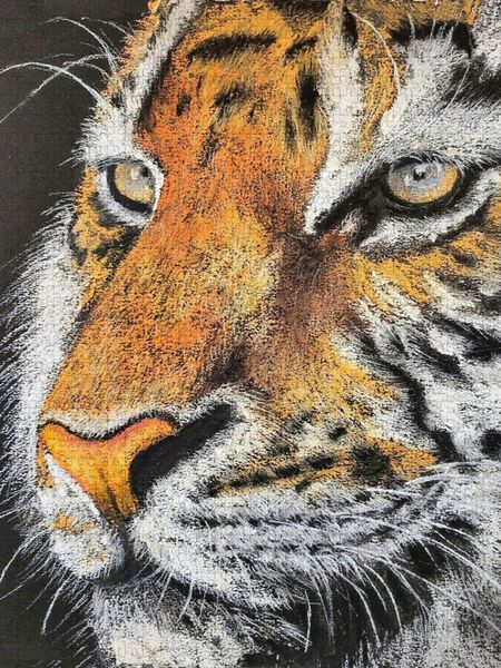 Produktbild: CALVENDO Puzzle Im Blick des Tigers | 1000 Teile Lege-Gr&ouml;&szlig;e 64x48cm Foto-Puzzle f&uuml;r gl&uuml;ckliche Stunden