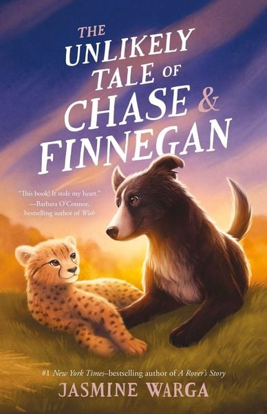 Produktbild: The Unlikely Tale of Chase and Finnegan