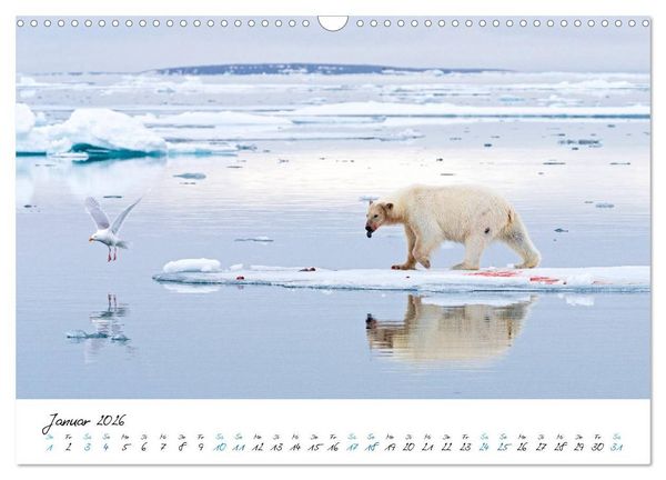 Produktbild: 78&deg; Nord - Arktische Momente in Svalbard (Wandkalender 2026 DIN A3 quer), CALVENDO Monatskalender
