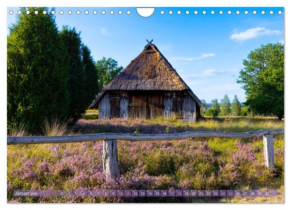 Produktbild: Im Bl&uuml;tenrausch der L&uuml;neburger Heide (Wandkalender 2026 DIN A4 quer), CALVENDO Monatskalender