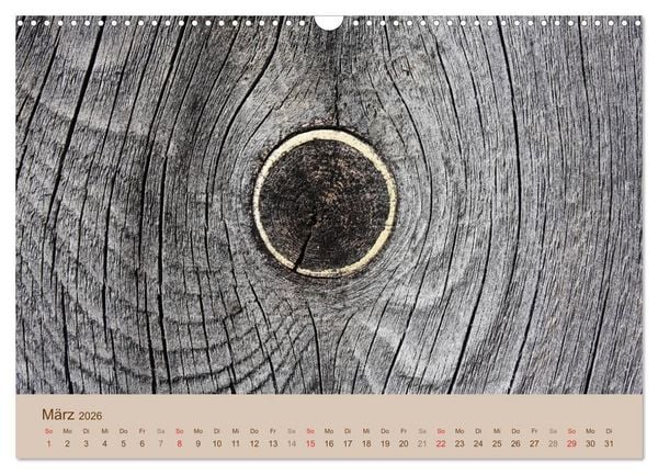 Produktbild: Farben des Holzes (Wandkalender 2026 DIN A3 quer), CALVENDO Monatskalender