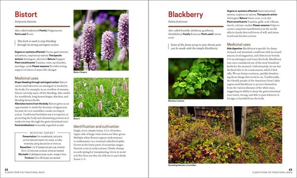 Produktbild: The Herbal Apothecary