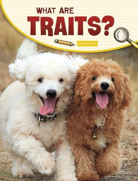 Produktbild: What Are Traits?