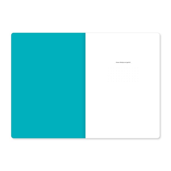 Produktbild: 2. Korinther (Bibeljournal)