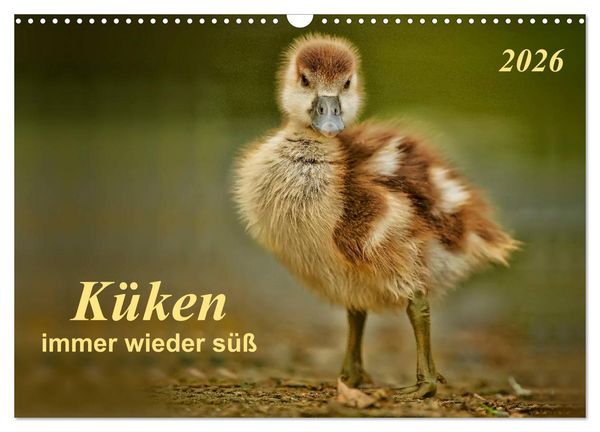 Produktbild: K&uuml;ken - immer wieder s&uuml;&szlig; (Wandkalender 2026 DIN A3 quer), CALVENDO Monatskalender