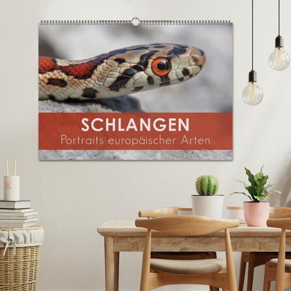 Produktbild: Schlangen - Portraits europ&auml;ischer Arten (Wandkalender 2026 DIN A2 quer), CALVENDO Monatskalender