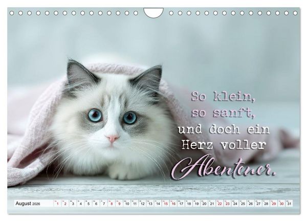Produktbild: Katzenpoesie - Herzber&uuml;hrende Verse (Wandkalender 2026 DIN A4 quer), CALVENDO Monatskalender
