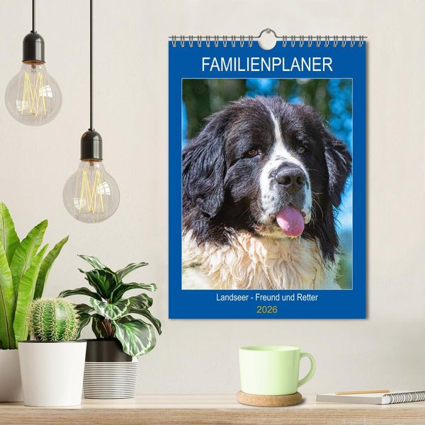 Produktbild: Familienplaner Landseer - Freund und Retter (Wandkalender 2026 DIN A4 hoch), CALVENDO Monatskalender