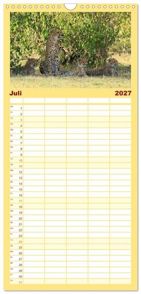 Produktbild: Familienplaner 2027 - Geparden - Begegnungen in Afrika mit 5 Spalten (Wandkalender, 21 x 45 cm) CALVENDO