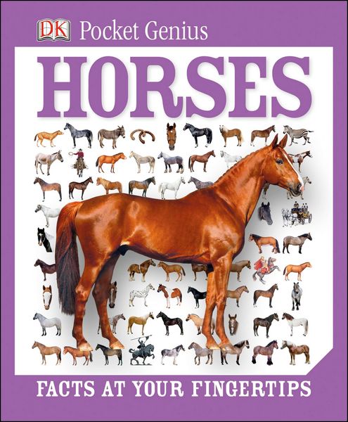Produktbild: Pckt Genius Horses