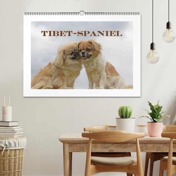 Produktbild: Tibet-Spaniel (Wandkalender 2026 DIN A2 quer), CALVENDO Monatskalender