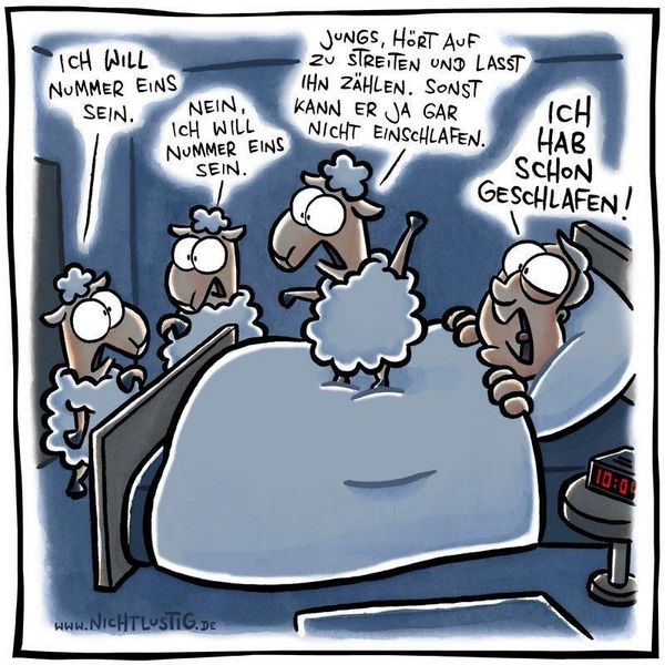 Produktbild: NICHTLUSTIG Cartoons 2007-2008