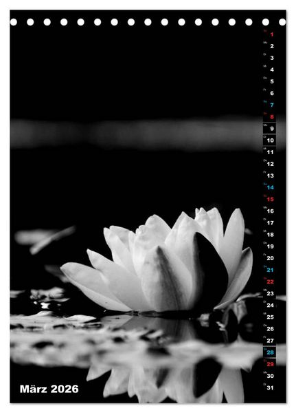 Produktbild: Blumige Graustufen - Schwarz und Wei&szlig; (Tischkalender 2026 DIN A5 hoch), CALVENDO Monatskalender