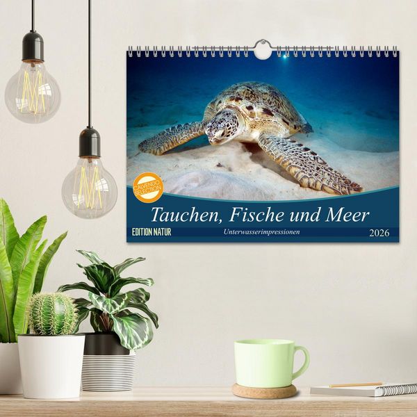 Produktbild: Tauchen, Fische und Meer (Wandkalender 2026 DIN A4 quer), CALVENDO Monatskalender