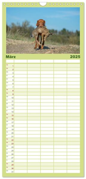 Familienplaner 2025 - Jagdhunde bei der Arbeit mit 5 Spalten (Wandkalender, 21 x 45 cm) CALVENDO