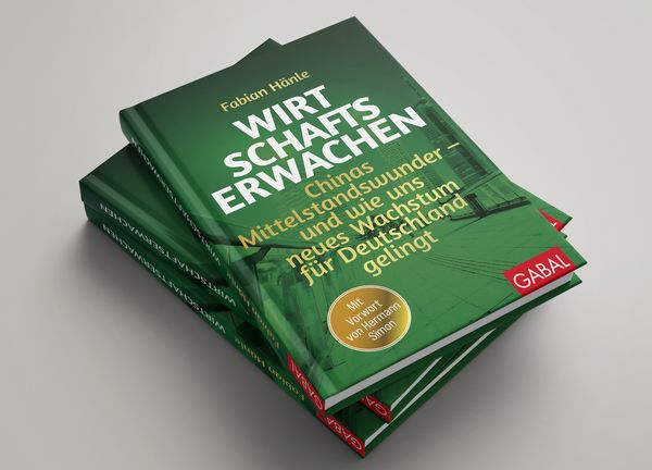 Produktbild: Wirtschaftserwachen