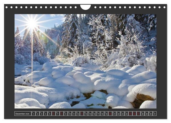 Produktbild: Gr&uuml;&szlig;e aus Wald (Wandkalender 2026 DIN A4 quer), CALVENDO Monatskalender
