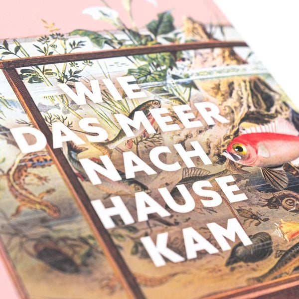 Produktbild: Wie das Meer nach Hause kam. Die Erfindung des Aquariums