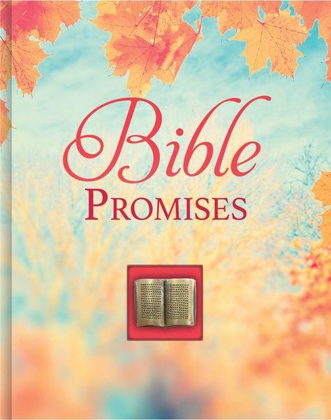 Produktbild: Bible Promises (Deluxe Prayer Book)