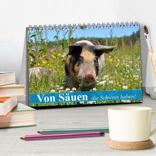 Produktbild: Von S&auml;uen die Schwein haben! (Tischkalender 2026 DIN A5 quer), CALVENDO Monatskalender