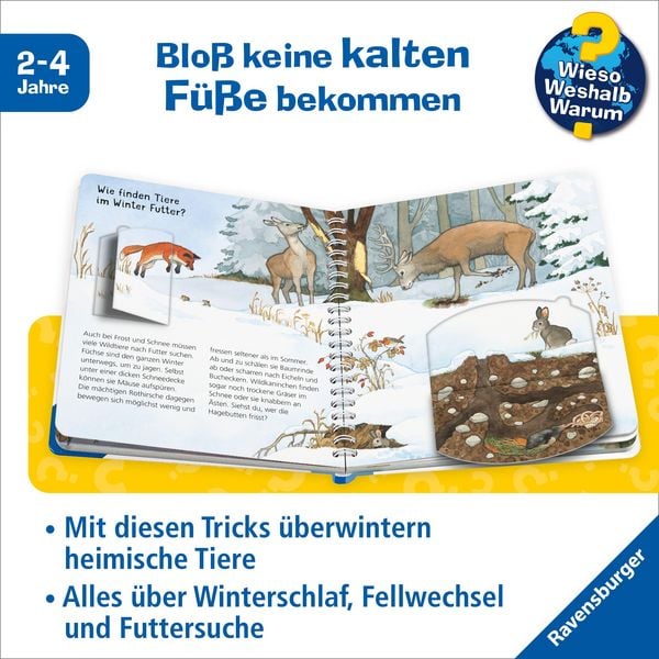Produktbild: Wieso? Weshalb? Warum? junior, Band 31 - Tiere im Winter
