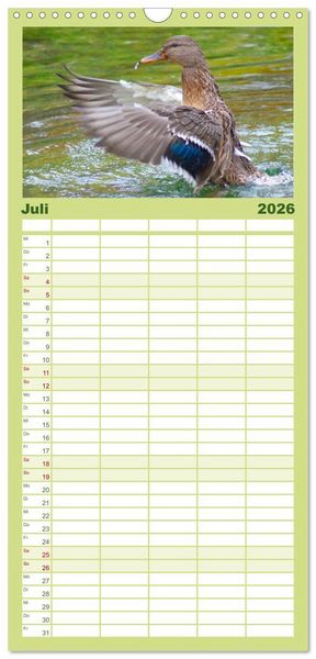 Produktbild: Familienplaner 2026 - Duck Power mit 5 Spalten (Wandkalender, 21 x 45 cm) CALVENDO