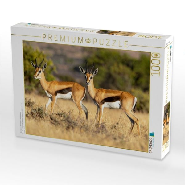 Produktbild: CALVENDO Puzzle Springbock Antilopen in der Savanne | 1000 Teile Lege-Gr&ouml;&szlig;e 64x48cm Foto-Puzzle f&uuml;r gl&uuml;ckliche Stunden